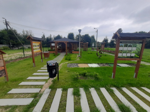 EKOpracownia pod chmurką 2025