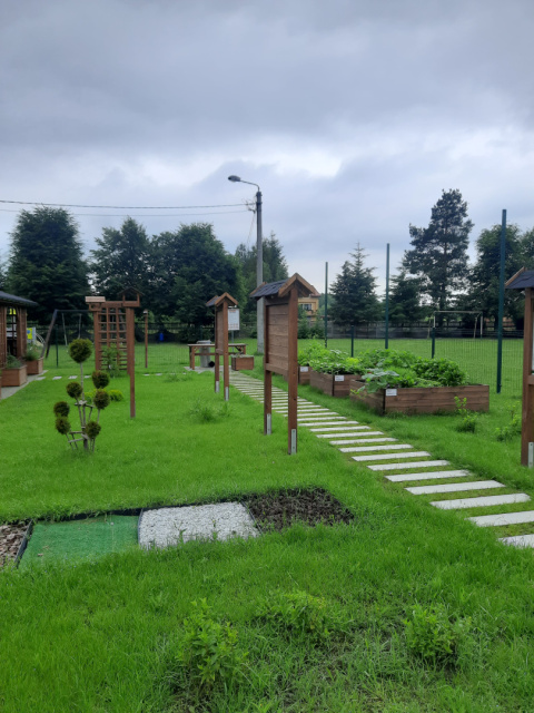 EKOpracownia pod chmurką 2025