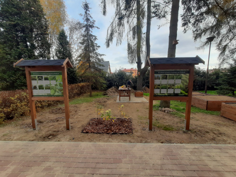 EKOpracownia pod chmurką 2025