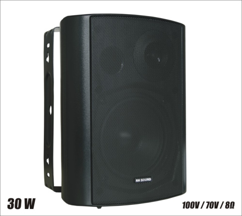 Głośnik 100V BS-1050TS/B