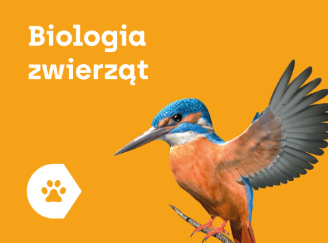 Aplikacja Corinth - Biologia Zwierząt Aplikacja Corinth - Biologia Zwierząt