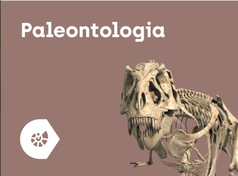 Aplikacja Corinth - Paleontologia i Kultura Aplikacja Corinth - Paleontologia i Kultura