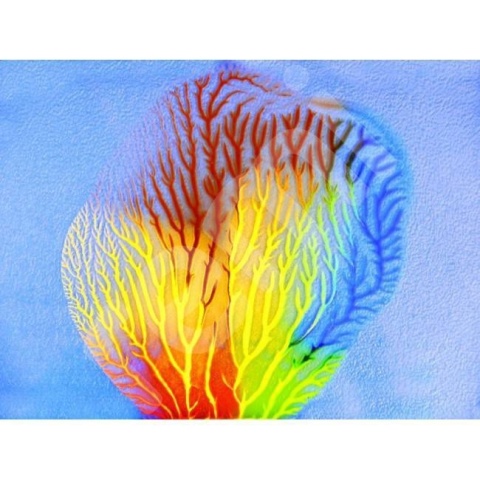 FARBY KRI KRA KREA - KONCENTRAT - 10 x 1 L.